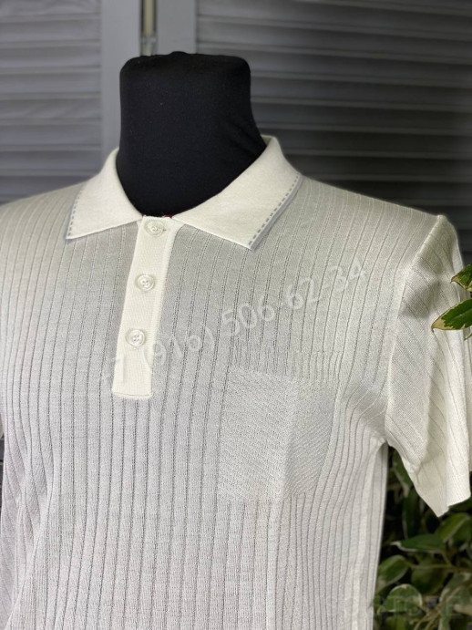 Поло Zegna 10302