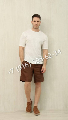 Шорты Zegna 17319 2