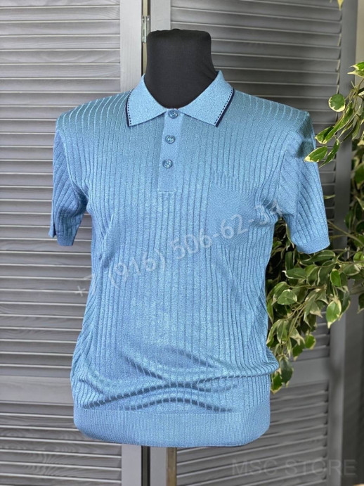 Поло Zegna 10303