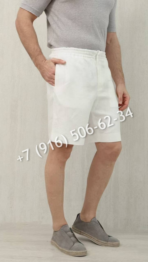 Шорты Zegna 17319 3