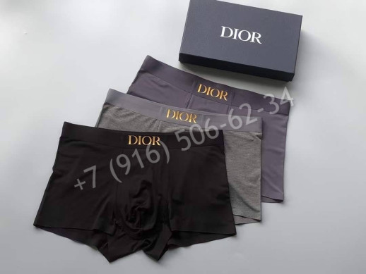 Нижнее Белье Dior 17785