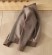 Куртка Brunello Cucinelli 5464 1
