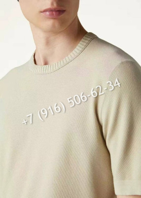 Футболка Zegna 27923 5