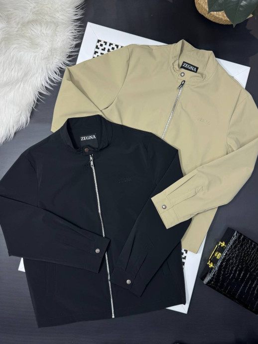 Ветровка Zegna 12453