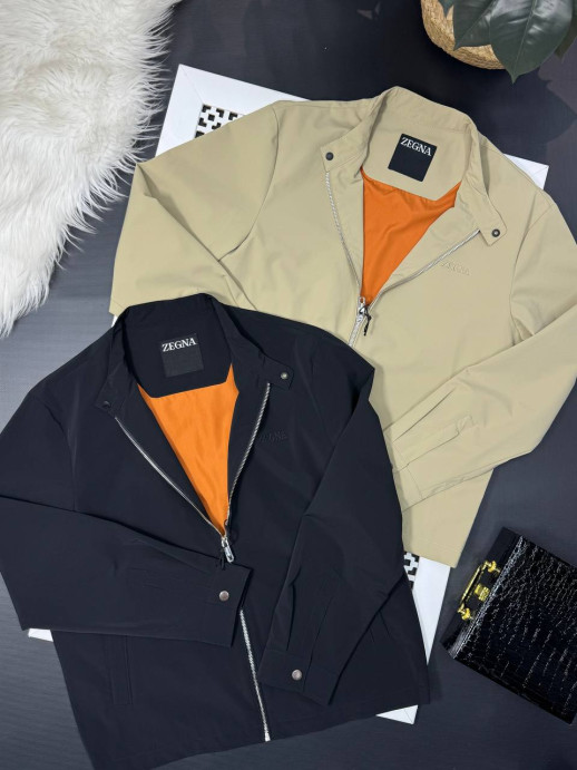 Ветровка Zegna 12453