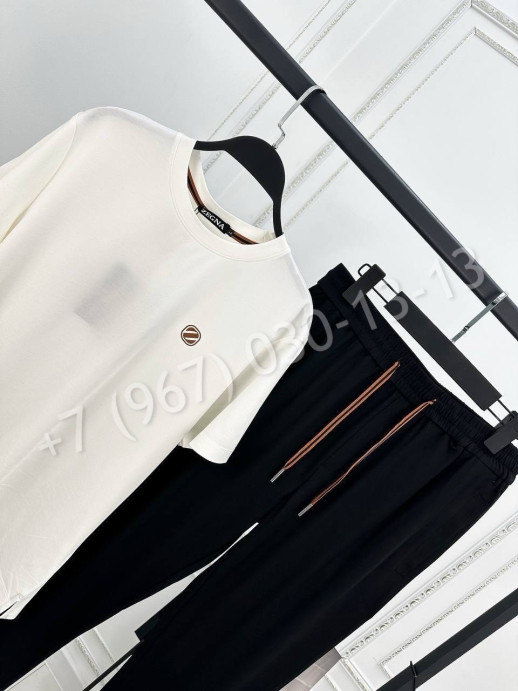 Прогулочный костюм Zegna 26780