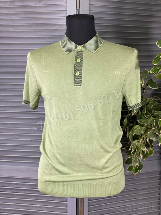 Поло Zegna 10309