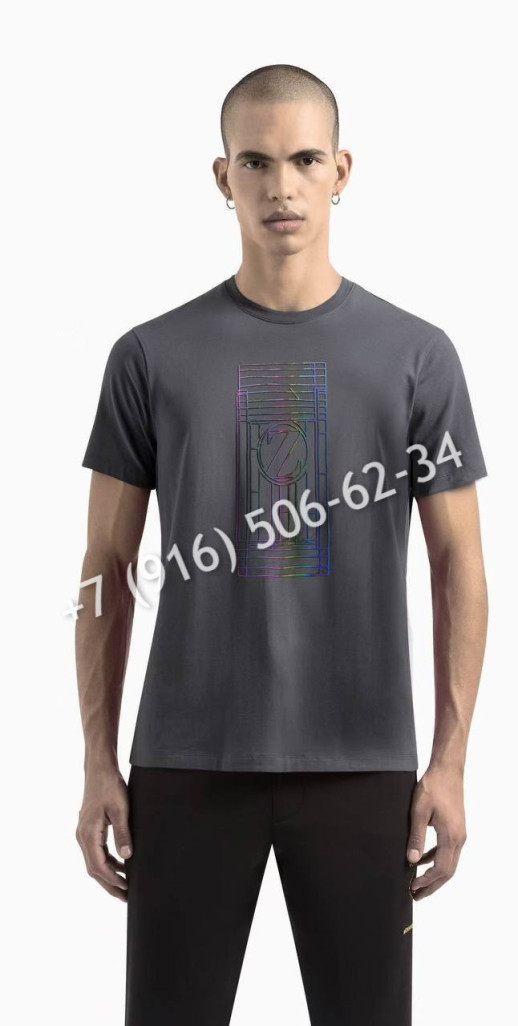 Футболка Zegna 26378 7