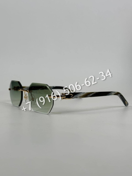 Очки Cartier 12951 1