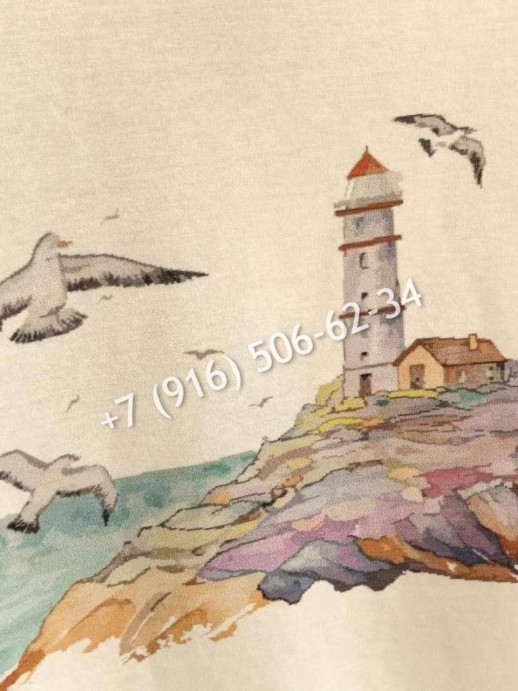 Футболка Roberto Cavalli 26519 1