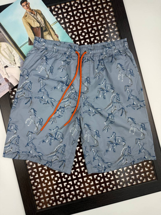 Плавательные шорты Hermes 13553 6