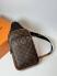 Сумка Louis Vuitton 21870