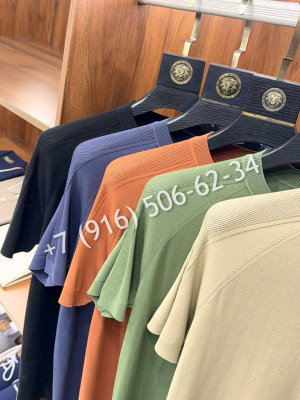 Футболка Zegna 17787 2