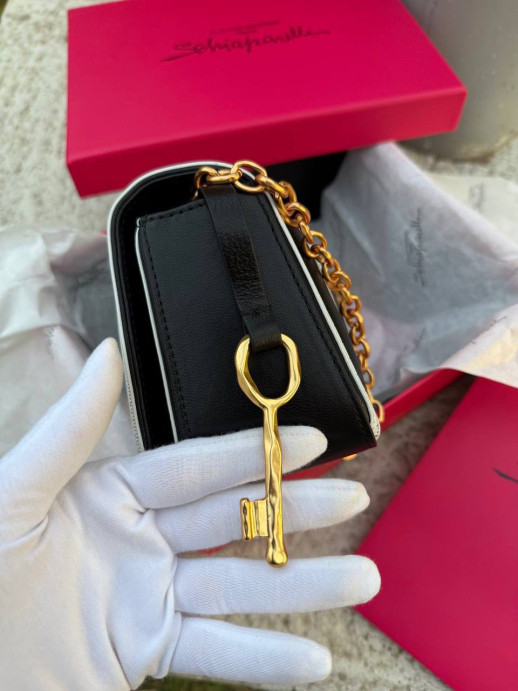 Сумка SCHIAPARELLI 34731