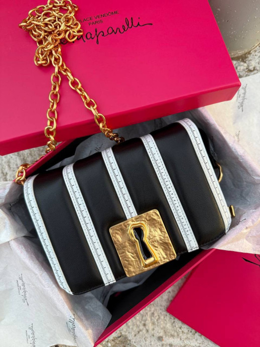 Сумка SCHIAPARELLI 34731