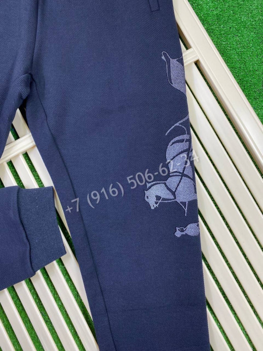 Спортивные штаны Hermes 8135