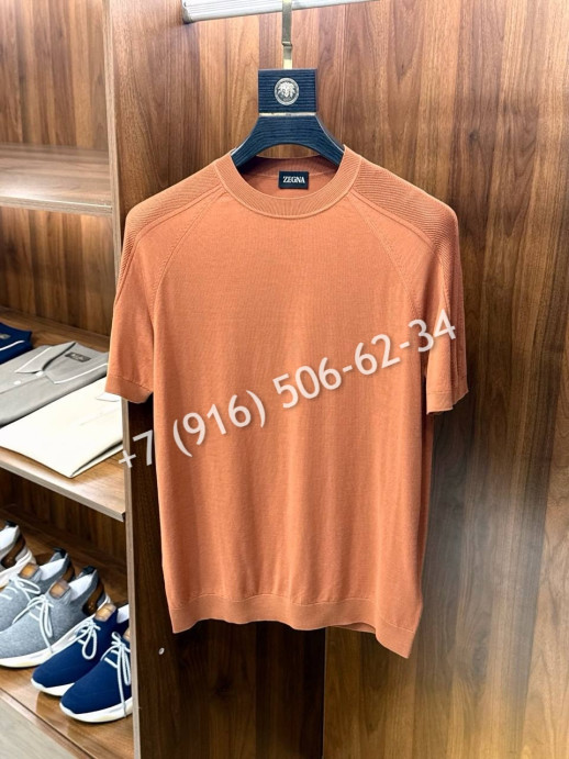 Футболка Zegna 17787 4